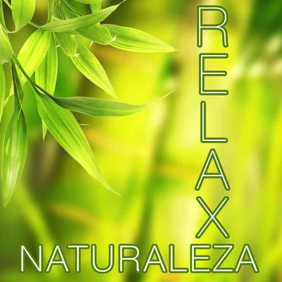 Radio Musica ClasicaNaturaleza Relax - Las Mejores Músicas Relajantes para Meditación, Clases de Yoga, Reiki, Spa, Salones de Belleza y para Lograr la Paz y la Tranquilid