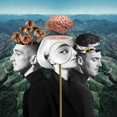 Clean Bandit/Zara LarssonWhat Is Love? (Deluxe)