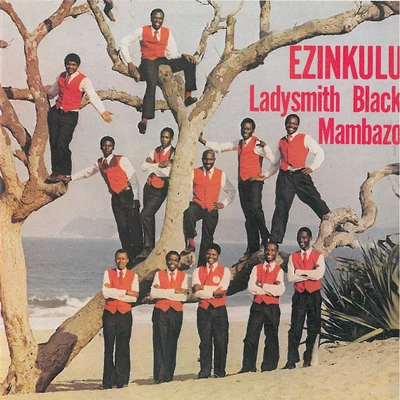 Ladysmith Black MambazoEzinkulu