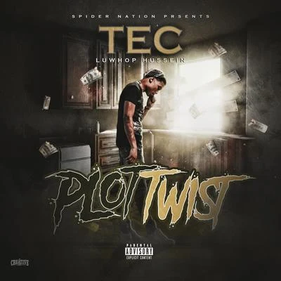 She moneyTECMaster PPlot Twist