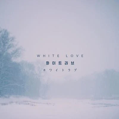 趙正模/JDWhite Love