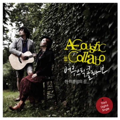 金國憲/Acoustic Collabo/김성한한여름 밤의 꿈