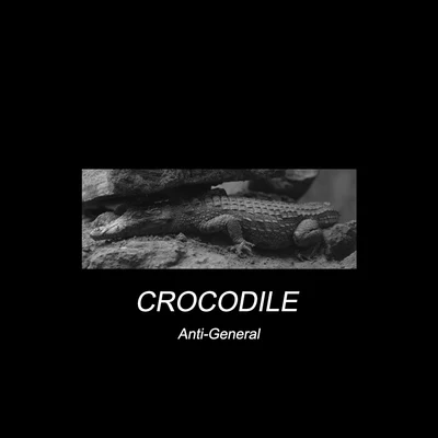 魏濛/Anti-GeneralCrocodile