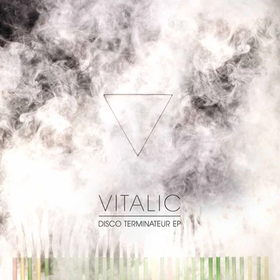 VitalicDisco Terminateur