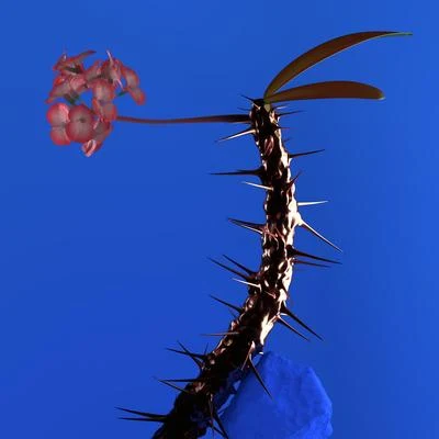 Prospa/Flume/OklouHyperreal