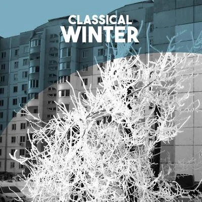 Anatole Fistoulari/L'Orchestre de la Societe des Concerts du Conservatoire de ParisClassical: Winter