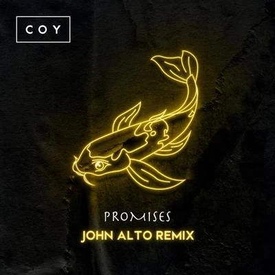 CoyBurnsIt's A Cover UpPromises (John Alto Remix)