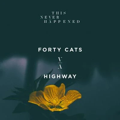 Forty Cats/Flaor/QDream/Envotion/Levitone/Meicon/Mia Twin/Kirill Sarsenov/Deepinity/VakabularHighway