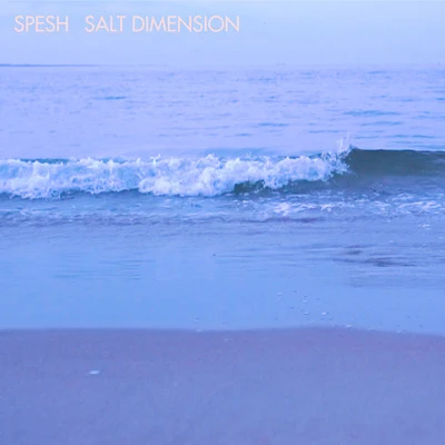 Spesh/Junior ReidSalt Dimension