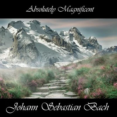 Karel Hron/Johann Sebastian Bach/Alexander Dmitriev/George Frideric Handel/Johann Pachelbel/Louis-Claude Daquin/Aleksandr Dmitriev/Domenico Zípoli/Jaroslav Krček/Eberhard KrausAbsolutely Magnificent Johann Sebastian Bach