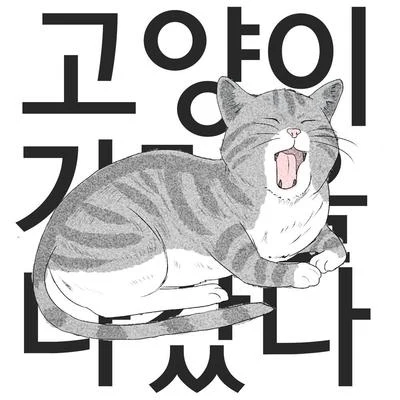 FatDoo고양이가 집을 나갔다