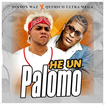 Dixson WazHe Un Palomo