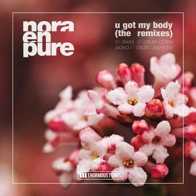 Nora En PureU Got My Body - The Remixes