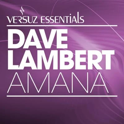 Dave Lambert/Timofey/ElektrokidAmana