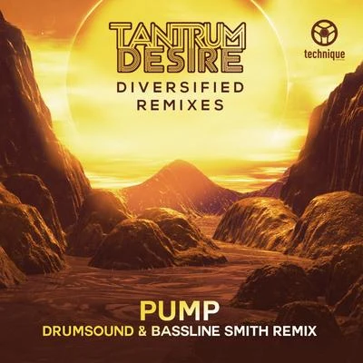 Tantrum Desire/StereoType/Exile/Low5/Tapolsky/Smooth/Muffler/Salaryman/Zombie Cats/YoungmanPump (Drumsound & Bassline Smith Remix)