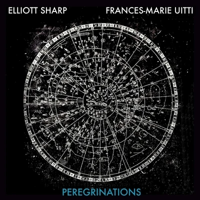 Elliott SharpPeregrinations