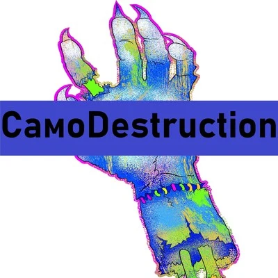 BaxterCamodestruction