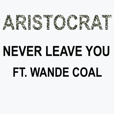 Wande CoalNever Leave You (feat. Wande Coal)