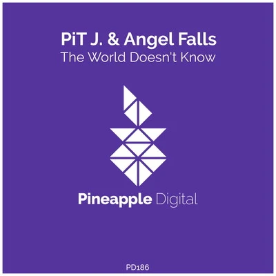 Angel Falls/Beat & VoiceThe World Doesn't Know