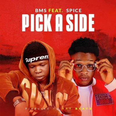 SpicePick a Side