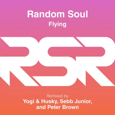 Random SoulFlying