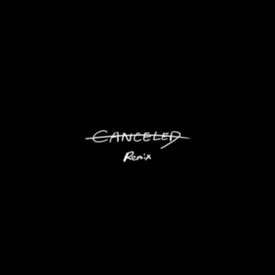 PlanZCanceled remix