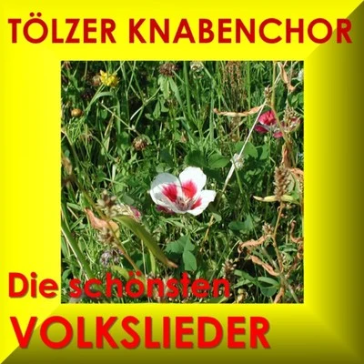 Tölzer Knabenchor/Thomanerchor Leipzig/Dresdner Kreuzchor/Wiener Sangerknaben/Regensburger DomspatzenDie Schönsten Volkslieder