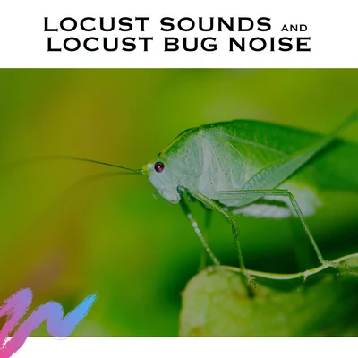 White Noise Radiance/Bamboo Water Fountain/Best Relaxation MusicLocust Sounds and Locust Bug Noise