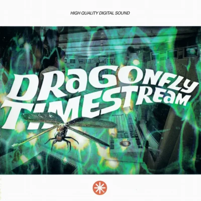 DragonflyTimestream