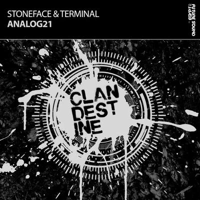 Stoneface & TerminalAnalog21