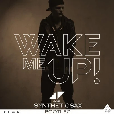 Princesska/Syntheticsax/K.S. Project/V.RayWake Me Up (Sax Version)