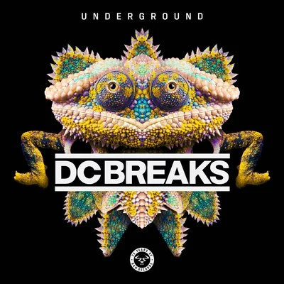 DC BreaksUnderground