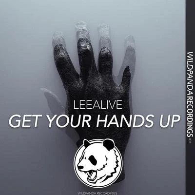 LeeAlive/Anti-GeneralGET YOUR HANDS UP(Original Mix)