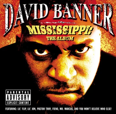 David BannerMississippi-The Album