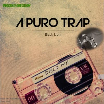 Black LionA Puro Trap