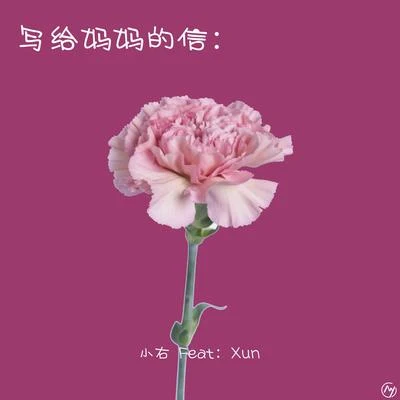 王熹蠻/Xun（易碩成）寫給媽媽的信