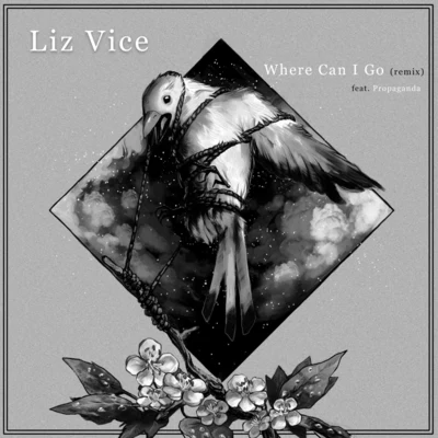 Liz ViceJGivensWhere Can I Go (Remix) [feat. Propaganda]