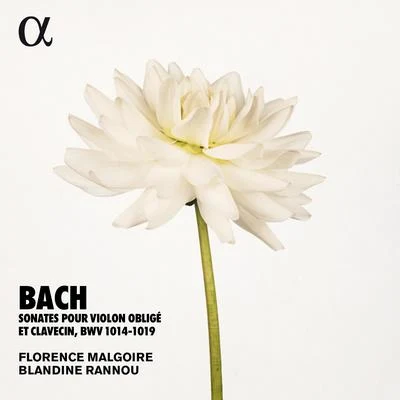 Florence MalgoireBach: Sonates pour violon obligé et clavecin, BWV 1014-1019 (Alpha Collection)