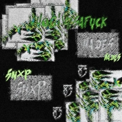 SNXP/Slit Sanity/Tarxan/Fury/HOLY 6HOST/Mikal Jones/Isabella Amarga/Fenrir/Na$tii/AuxxkWHO GIVES A F***