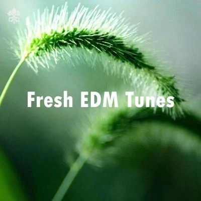 DripiceFresh EDM Tunes