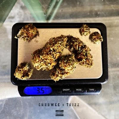 Trizz3.5 (Eighth)