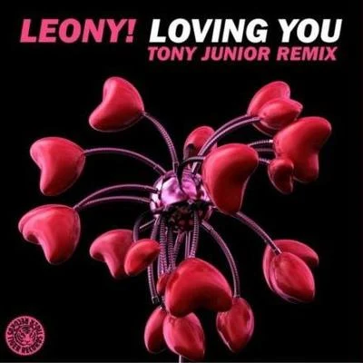 Tony JuniorLoving You(Tony Junior Remix)