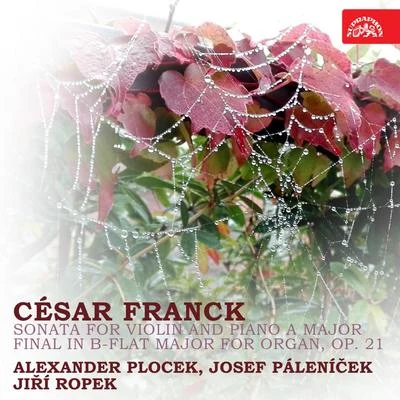 Alexander PlocekFranck: Sonata for Violin and Piano A Major, Final in B Flat Major for Organ, Op. 21