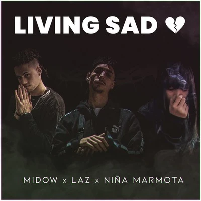 Laz/SonikemLiving Sad