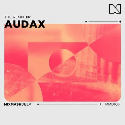 AudaxRobbie RiveraThe Remix EP