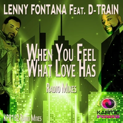 DJ SalahLenny FontanaTerri BWhen You Feel What Love Has (Radio Mixes)