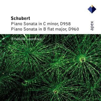 Elisabeth Leonskaja/Teresa Zylis-Gara/Frederic Chopin/Frédéric Lodéon/Maria-João Pires/Nikolai Lugansky/Cyprien Katsaris/Jean-Bernard PommierSchubert : Piano Sonatas Nos 19 & 21 - Apex