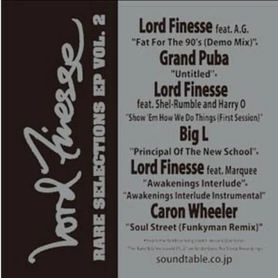 Lord FinesseRare Selections EP Vol. 2