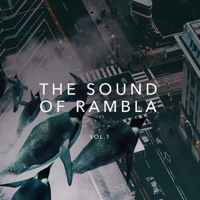 RoondabitHavoc & LawnThe Sound of Rambla, Vol. 1