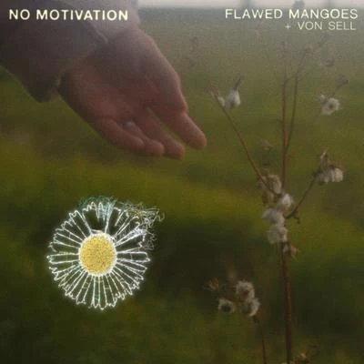 flawed mangoesNo Motivation